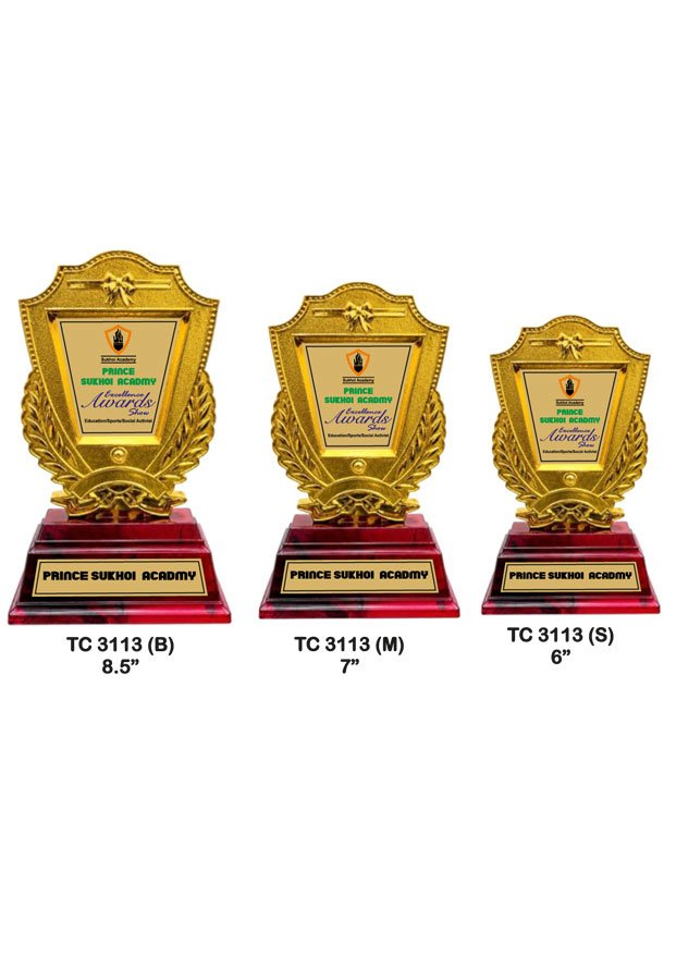 Customized-iindustrial-plastic-frame-trophy-manufacturer-3109